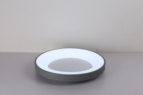 Ceiling light