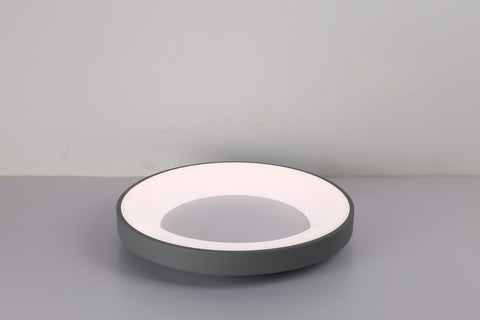 Ceiling light