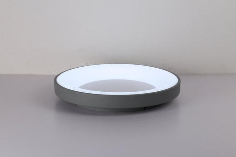 Ceiling light