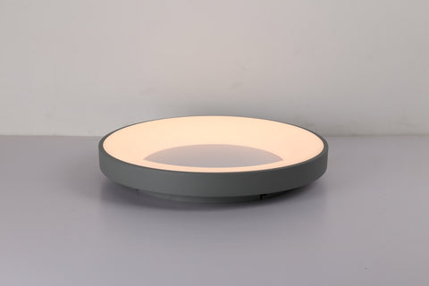 Ceiling light