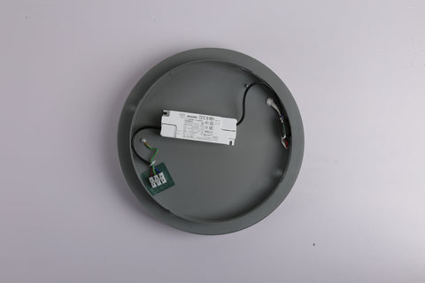 Ceiling light