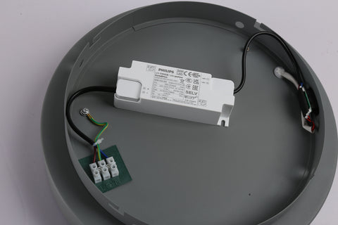 Ceiling light