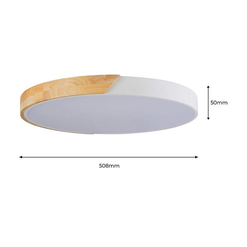 Ceiling light
