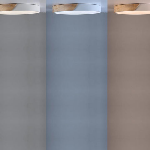 Ceiling light