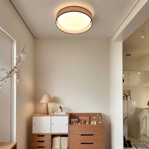 Ceiling light