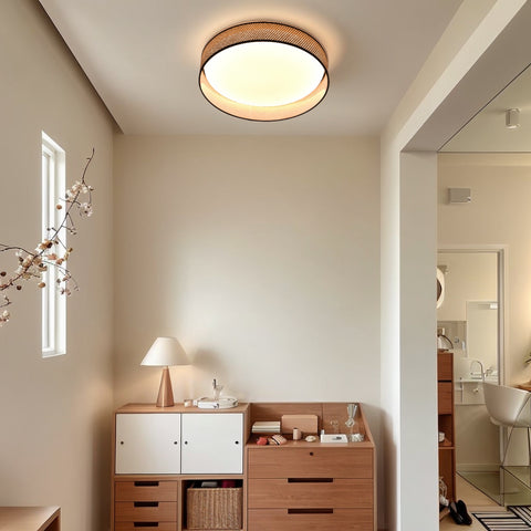Ceiling light