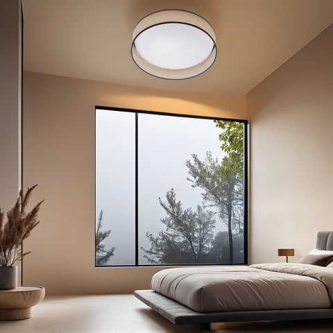 Ceiling light