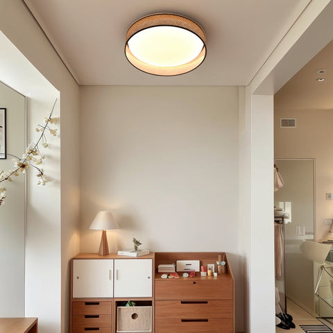 Ceiling light